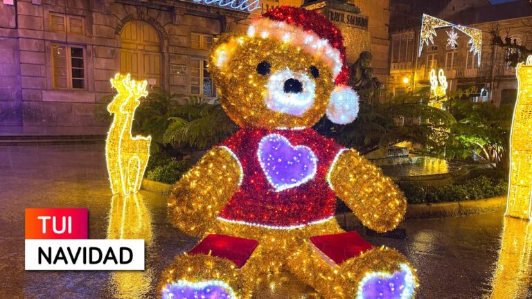 Iluminación LED Decorativa en Pontevedra